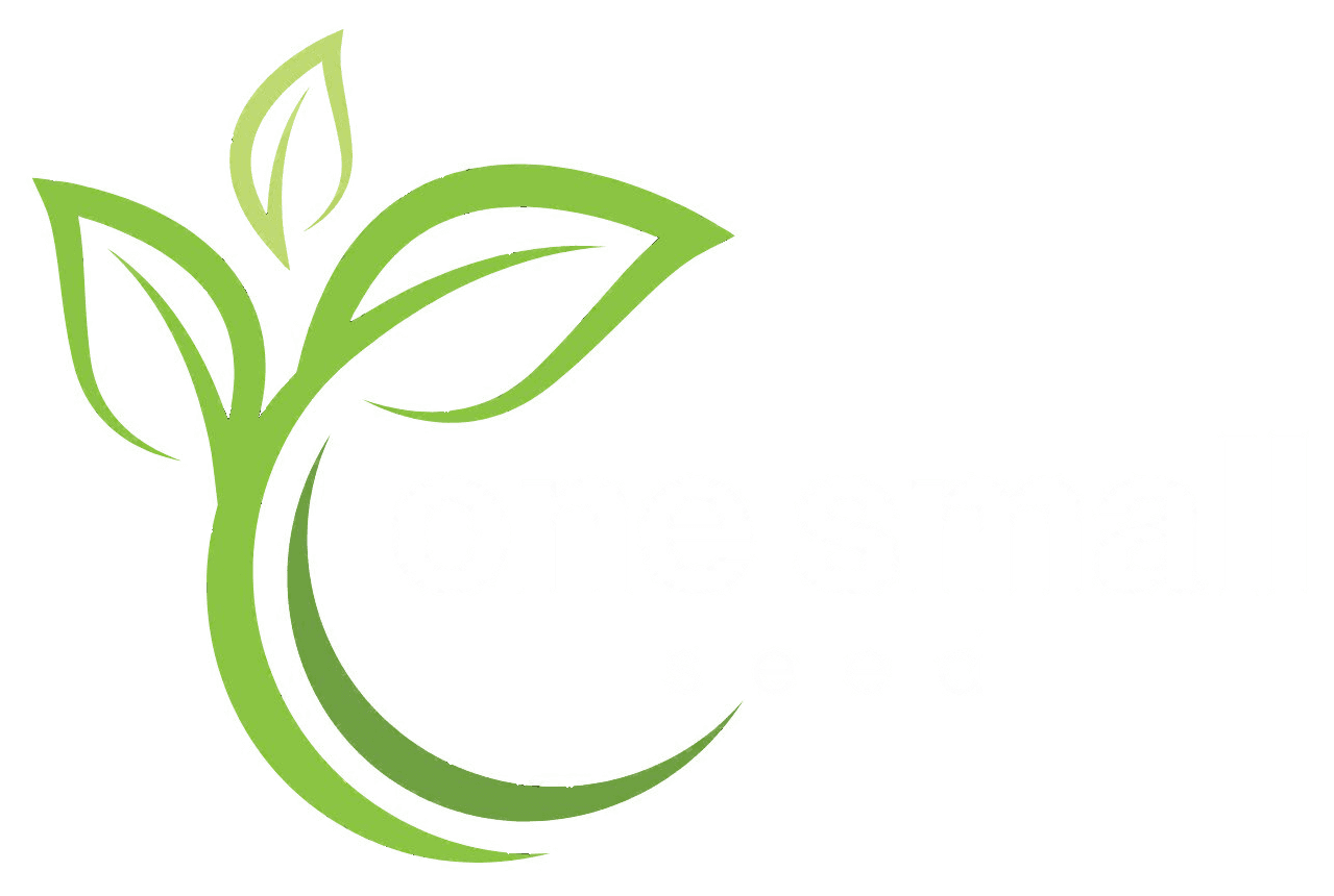 One Small Seed